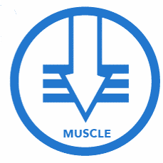 penetrate muscles icon