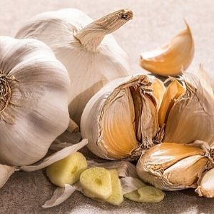 garlic